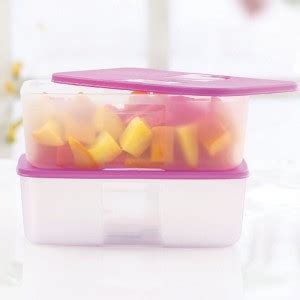 TUPPERWARE Polypropylene Fridge Container - 1.5 L Price in India - Buy ...