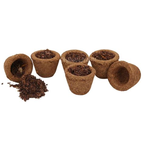 Buy Gavo Harshiddhi Sandalwood Havan Cow Dung Dhoop Cups – GAVO HARSHIDDHI