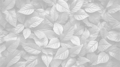 Transparent Background Showcasing Intricate Leaf Textures Overlay ...