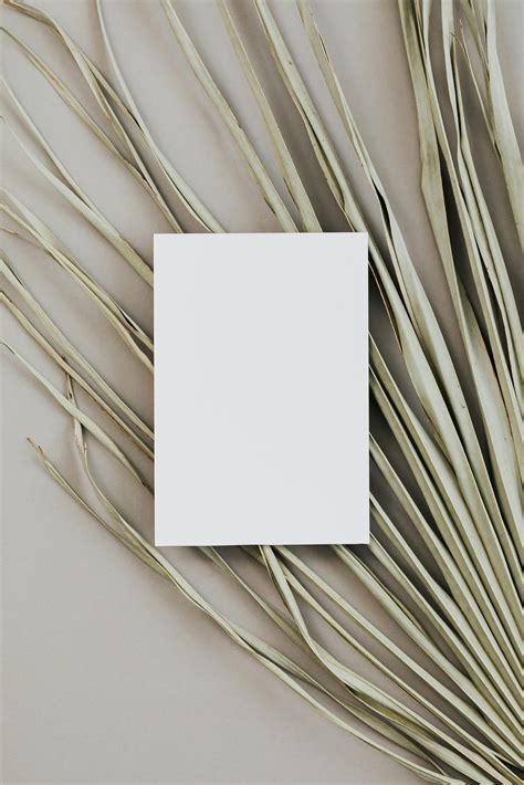 Invitation Card Design Background 的图像结果