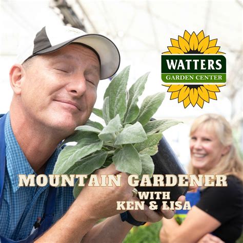 🎙️Welcome to Episode 25 – 11 of The Top 10 Gardener Podcast' with Ken ...