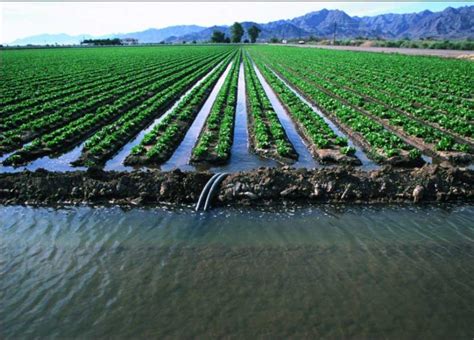 Image result for Irrigation Methods
