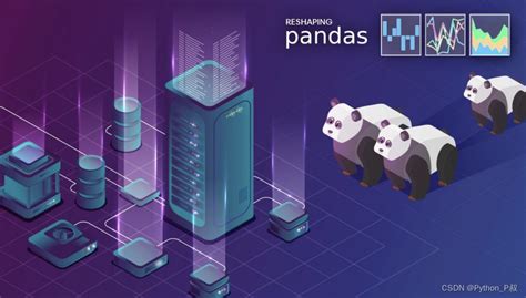 Panda Python Overview 的图像结果
