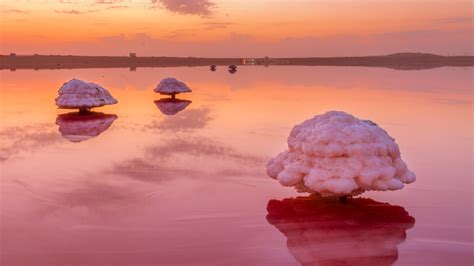 Mushroom-shaped salt formation in the pink Masazir Lake, Baku ...