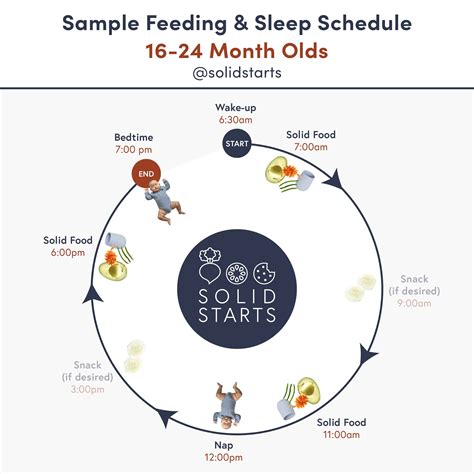 Baby Feeding Schedules by Month - From 6 to 24 Months - Solid Starts