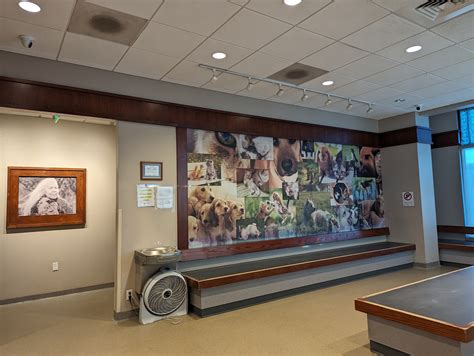 HAMLETT SPAY & NEUTER CLINIC - Colorado Springs CO - Hours, Directions ...