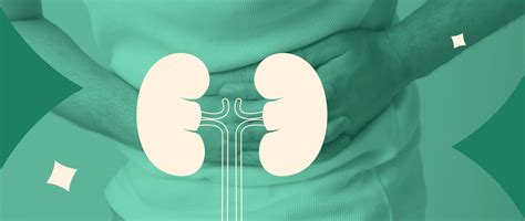 Kidney Stones: Causes, Symptoms & Prevention Guide