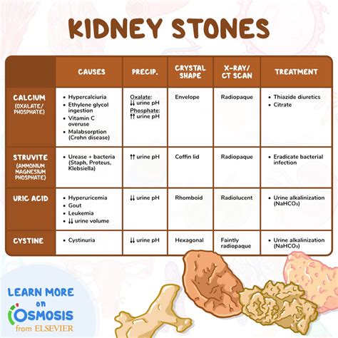 Types Of Kidney Stones Pictures Of Different Types Of Kidney Stones