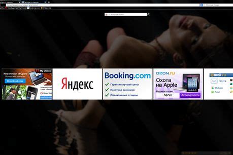 Image result for Opera Customization