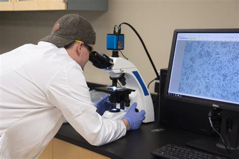 Food Science Courses 的图像结果