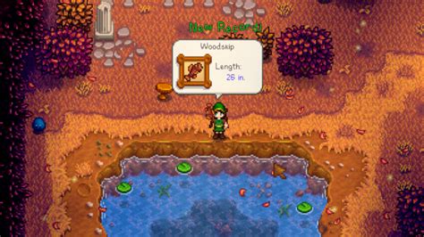 How to catch a Woodskip in Stardew Valley - Destructoid