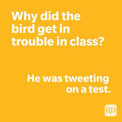 Hilarious Jokes For Kids To Tell At Schoolappropriate Jokes For Kids