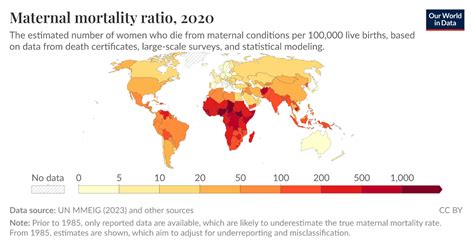 Maternal Mortality Ratio 的图像结果