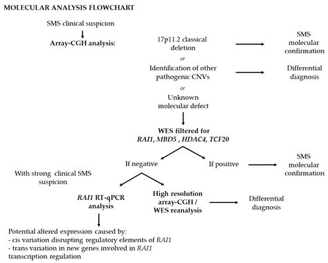 Smith-Magenis Syndrome—Clinical Review, Biological Background and ...