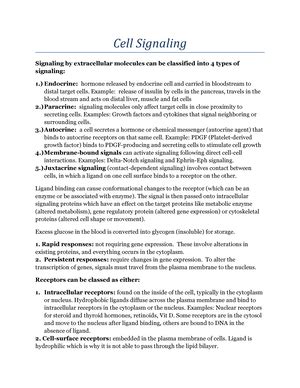 Amino Acid Catabolism - Amino Acid Catabolism TRANSAMINATION: α-Amino ...