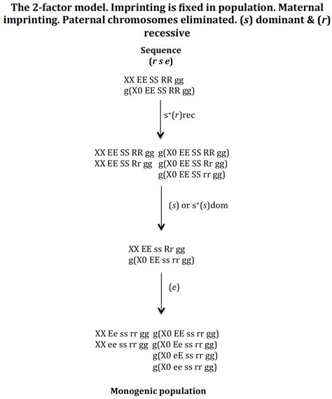 From Digenic to Monogenic Sex Determination in Insects: A Genetic Model ...