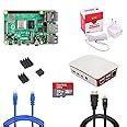 Raspberry Pi 4 Model B 8GB RAM Kit with 32GB Noobs, LAN-mHDMI Cable ...
