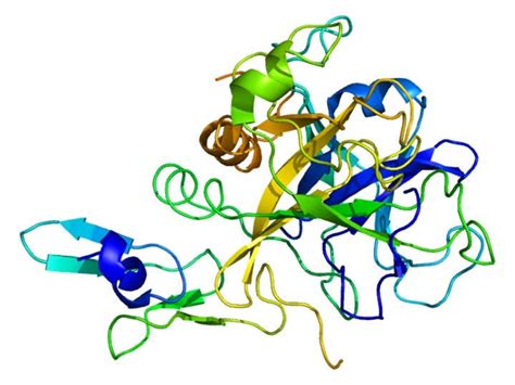 ESC: NOAC Reversal Agent Effective in Study | MedPage Today