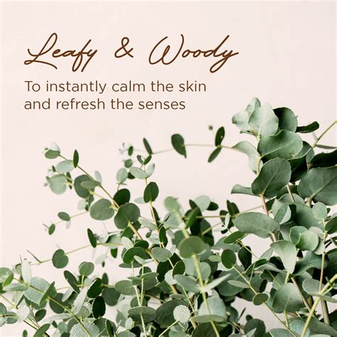 Buy Gya Labs Eucalyptus Essential Oil Roll-On for Irritated Skin (10ml ...