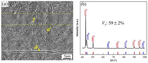 High Ductile Medium Mn Lightweight Alloy: The Role of Intensive ...