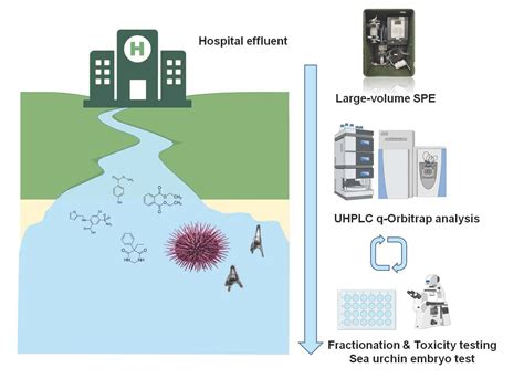 Suspect Screening of Chemicals in Hospital Wastewaters Using Effect ...
