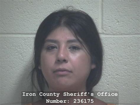 Traffic stop leads to discovery of 24 pounds of methamphetamine near ...