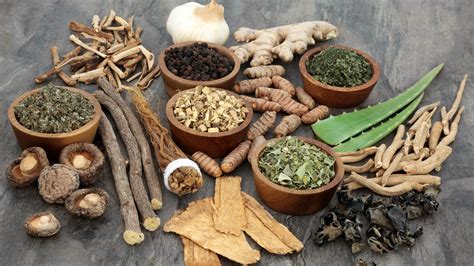 Unlock Ashwagandha's Potential: Sip Withania Tea & Supercharge Your ...