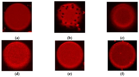 A Study on the Effect of Quaternization of Polyene Antibiotics ...