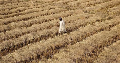 Barmer Farmers Call for Postponing Aug 31 Public Hearing on Cairn India ...