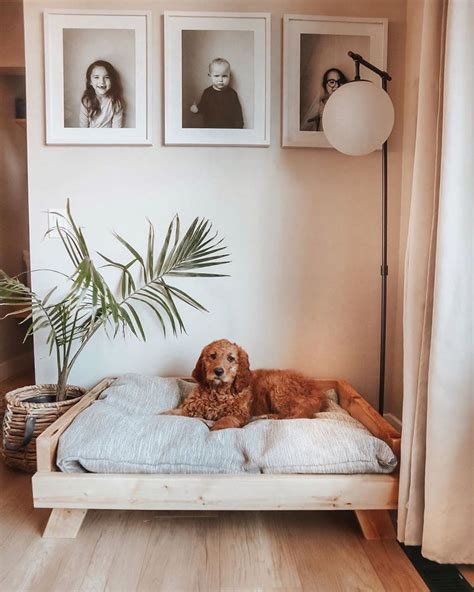 cute dog bedroom ideas