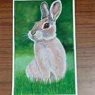 Image result for Bunny Drawing Front View