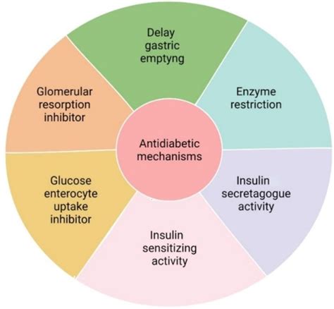 Potential Mechanisms of the Improvement of Glucose Homeostasis in Type ...