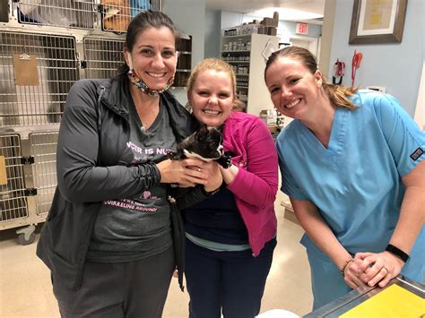 North Carolina Veterinarians - Whole Pet Veterinary Hospitals