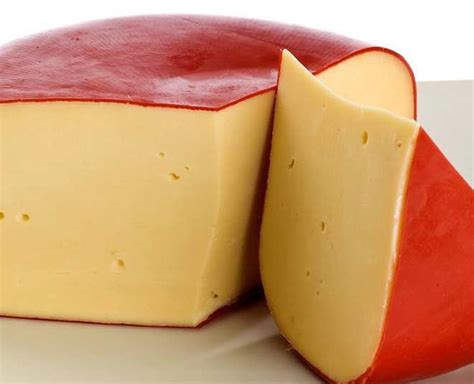 Did You Know About The Different Types Of Cheese And How You Can Use ...