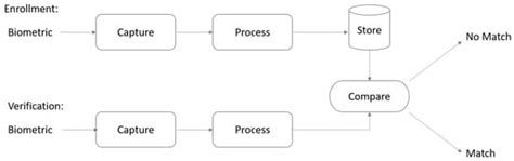 The Effectiveness of Depth Data in Liveness Face Authentication Using ...