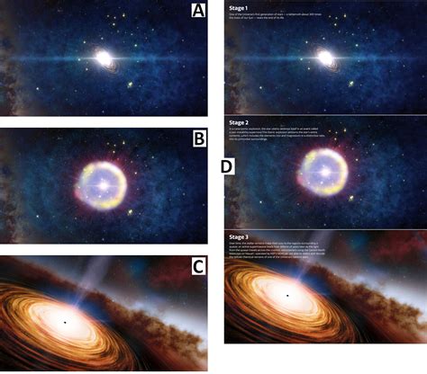 Image result for Vector Iterate Code
