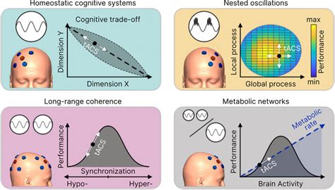 Transcranial Alternating Current Stimulation 的图像结果