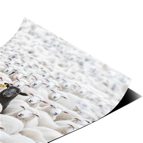 Poster G.O.A.T. Schafe Motiation Wandbild Kunstdruck