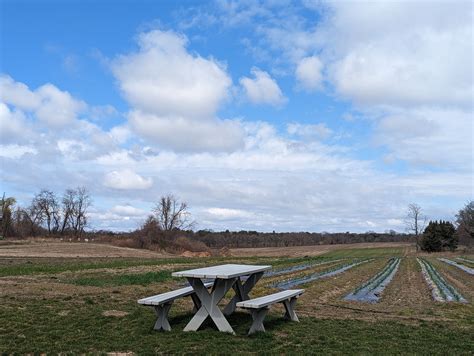 Chicken Scratch: Art – Travel | The Review