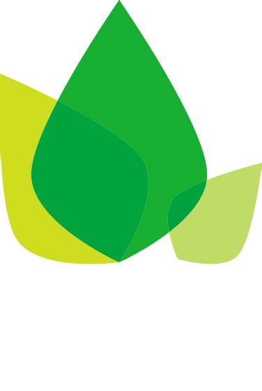 Image result for NLP Dashboard Python
