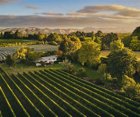 The best Bookabach baches in NZ (according to travellers)