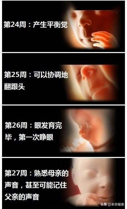 孕期无小事，孕13周宝宝胎心消失，这些因素是偷走胎心的“凶手_胎儿