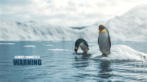 Ecology Examples 的图像结果