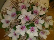 immagini fiori orchidee nido di orchidee negozio di fiori a roma fioridenni immagini fiori orchidee nido di orchidee negozio di fiori a roma fioridenni