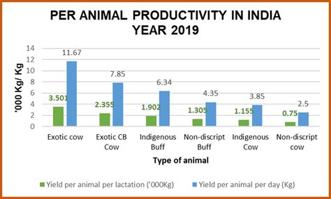 INDIA HIGHEST MILK PRODUCER, BUT HAS LOW PER ANIMAL PRODUCTION, WHY?