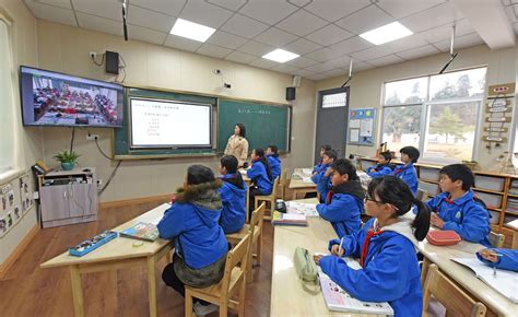 Computer Assisted Program 的图像结果