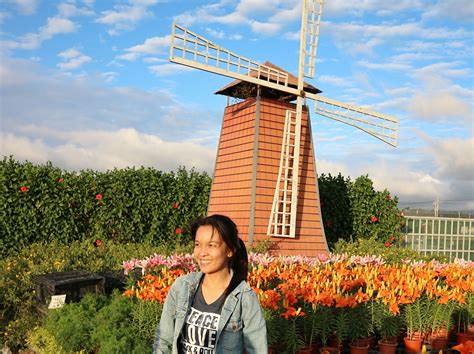 Go to Flower Market 的图像结果