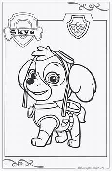 malvorlagen kinder kostenlos paw patrol malvorlagen kinder kostenlos paw patrol kostenlose malvorlagen kinder kostenlos paw patrol malvorlagen kinder kostenlos paw patrol kostenlose