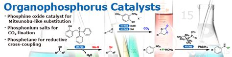 Organophosphorus Catalysts | Tokyo Chemical Industry (India) Pvt. Ltd.