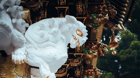 Wallpaper relief, sculpture, beast, building hd, picture, image